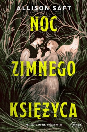 Noc zimnego księżyca – Allison Saft